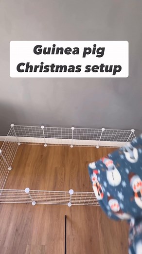 ☃️Because every piggy deserves some Christmas magic. 🎄Cage liners and matching sets available on my website now. Everything is made to order so get your orders in soon as I am extremely busy. #Cavies #petbedding #guineapigs #guineapigcage #CandC #cavylove #smallpets #handmade | Bumbles Pampered Paws