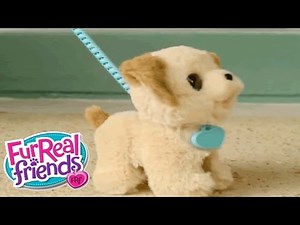FurReal Friends Greece - 'Poopin’ Pup' TV Spot