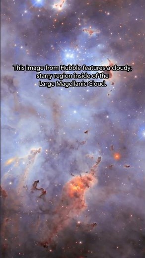 N11 in the Large Magellanic Cloud ☁️😍 #astronomy