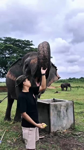 #fyp #waykambas #liburan#lampung#gajah