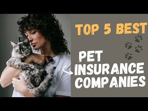 Top 5 Best Pet Insurance Companies Pros & Cons Reviews In 2025🐶
