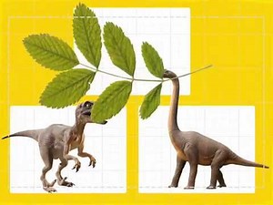 TinyTap - Create interactive lessons fast!