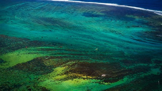 Calm sea surface revealing the beauty beneath the water