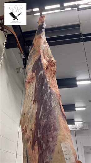Now that’s a big beef 👀🐄 #butcher #beef #wholeanimalbutchery | The Center Cut Slaughter & Meat Processing