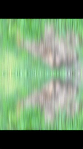 Essential Steps for Lid Replacement in Septic Systems