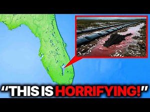 After Florida Drained a Wetland, Biologists Discovered Something Terrifying!