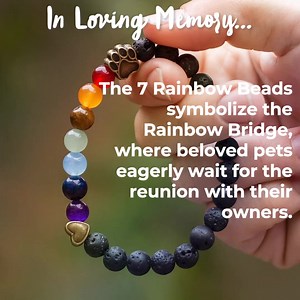 11K views · 901 reactions | Would you wear this in memory of your best friend?  May memories of love comfort you in the loss of your beloved dog. ❤️ "I Will Love You Forever Bracelet" Feeds 7 Shelter Dogs In Loving Memory Of Your Pup, find it here:  https://pixelfy.me/tsAemW | The Rainbow Bridge | Facebook