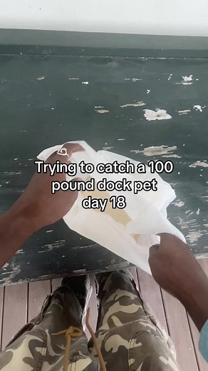 Trying to Catch a 100 lb Dock Pet — Day 18