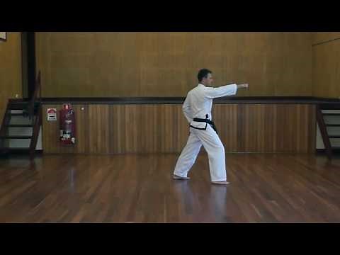 Saju Jirugi - White Belt Pattern - Jinhwa Taekwondo
