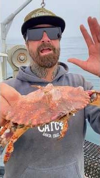 Barnacles are filter, feeding crustaceans. #friendliestcatch #barnaclechronicles # #barnacleremoval