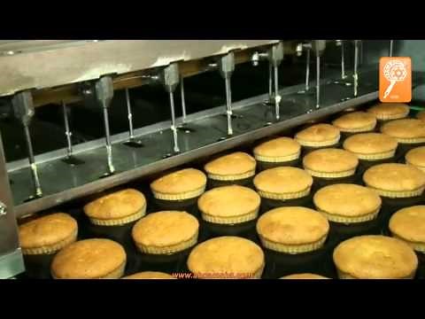 خط تصنيع كب كيك 3000 قطعة بالساعة فول اتوماتيك