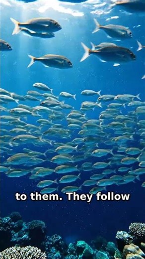 The Liquid Brain: Nature’s Glitch in the Matrix? 🤯