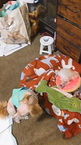 Emerald and Lida's Adorable Moments