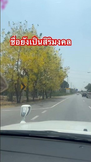 ดอกคูณ #ดอกคูณรับ#ดอกไม้ประจำประเทศไทย #￼ ดอกไม้สงกรานต์ #สวยงาม #ค้ำคูณ