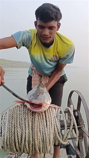 Smart Catfish Bait Throwing Method for Giant Fish