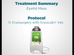 CryoLAB Vet - Eyelid Mass Treatment