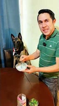 Keep your dog's teeth healthy with this homemade natural toothpaste 👌🏻💯🐶 #dogs #canecorso