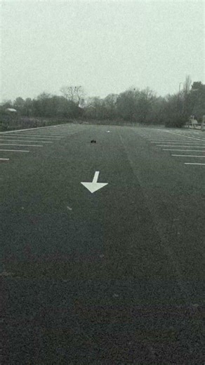 @Rlaarlo omni terminator fast speed #rc #hobby #fyp