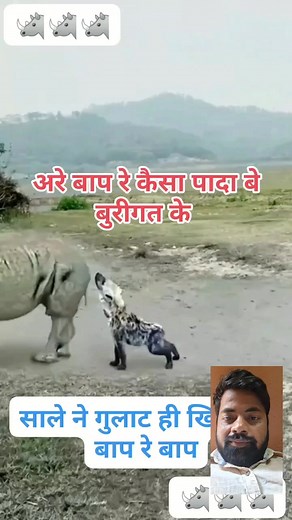 904K views · 4.5K reactions | Animal planet | Pradeep Sharma | Facebook