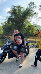 1.6M views · 10K reactions | Good dog || #sad #education | Fun funny T | Facebook