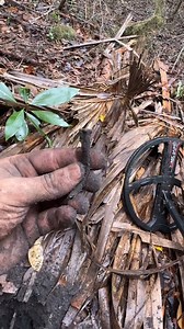 The Golden Hour on Reels