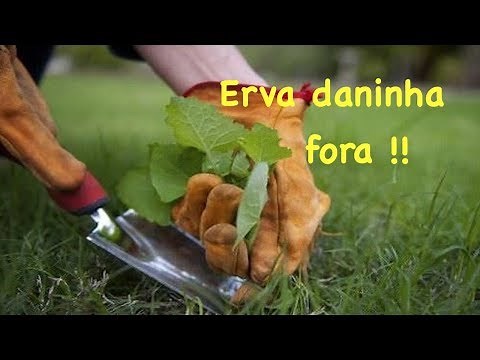 10 maneiras de eliminar as ervas daninhas
