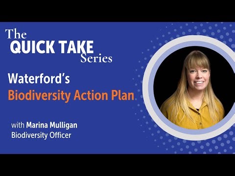 Waterford Biodiversity Action Plan 2026 – 2031 ¦ Quick Take #6