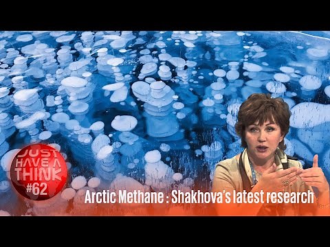 Methane: The Arctic's hidden climate threat : Natalia Shakhova's latest paper.