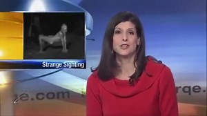 ALIEN CREATURES  CAUGHT ON TAPE