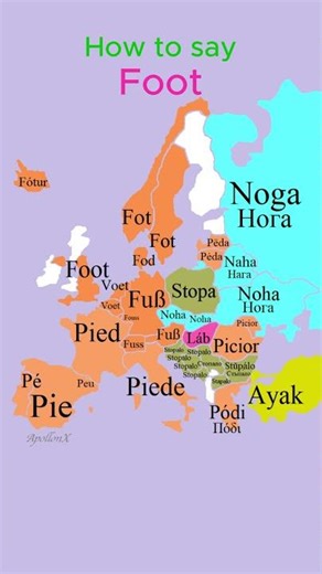 How to say Foot | Body Parts | European Languages Comparison #shorts #comparison #map