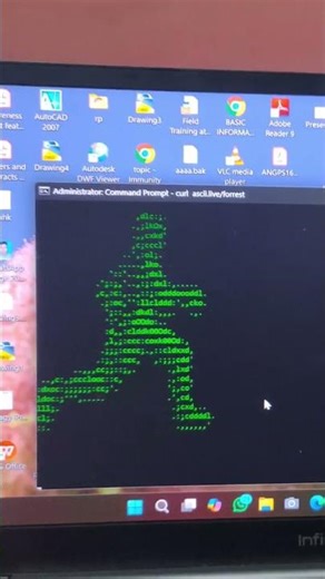 Comment for the prompt of cmd run command #cmd #runcommand #windows #windows11 #windows10