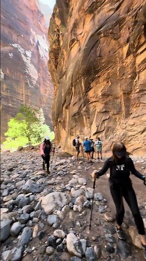 Zion’s Iconic Narrows – River Hike Experience 🌄 #Adventure
