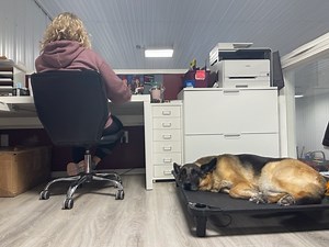 Free Online Dog Training Courses | Prairieburn K9 Academy