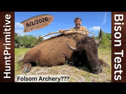 6/1/2026 ~ Primitive Bowhunting Bison & Carcass Penetration Tests