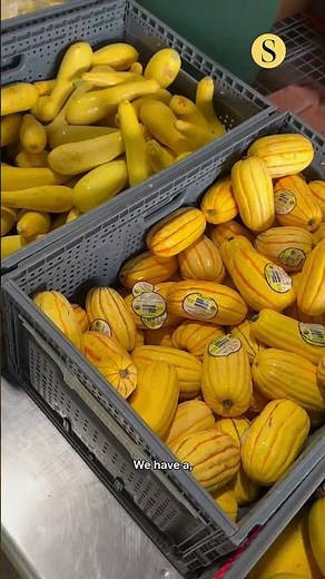 Growing food fridge network to combat Baltimore’s long-standing scarcity