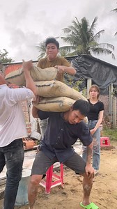 5.5M views · 123K reactions | Lộc Fuho - Thứ Thách Vác 3bao XiMăng Đi Bộ 100mét | Lộc Fuho | Facebook