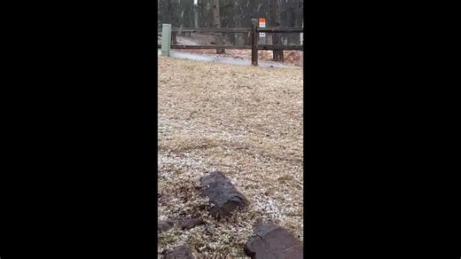 Thunder graupel covers the ground in Woodland Park, Colorado, USA