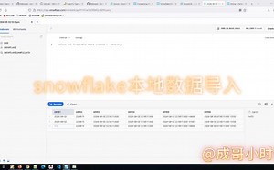snowflake进阶之本地数据导入05