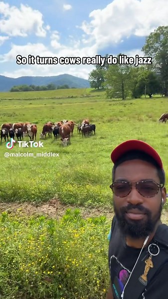 Cows Enjoy Jazz Music: A Fascinating Farm Discovery
