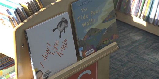 1,000 Books Before Kindergarten: Library program highlights benefits of introducing books to young children