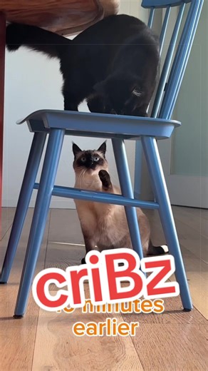 Inside MTV Cribz with Merv and Friends