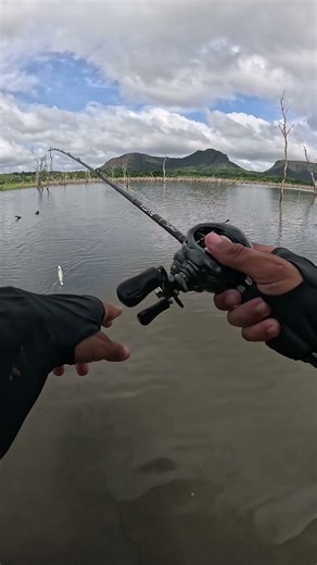 Isca de hélice babyrex 105 jenner lure #fishing #pescaria #tucunare #barcopesqueiro #pescasub