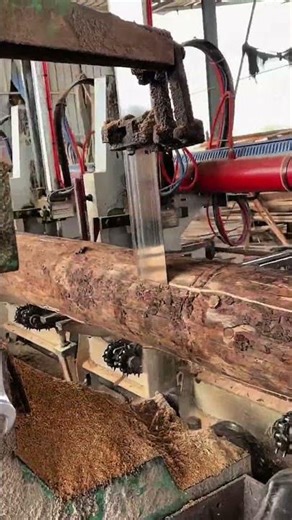 The Science of Lumber: Converting Raw Logs to Timber