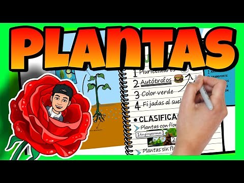 🌿 El REINO de las PLANTAS 🍃 sus PARTES, sus CARACTERÍSTICAS y CLASIFICACIÓN ► para NIÑOS de PRIMARIA