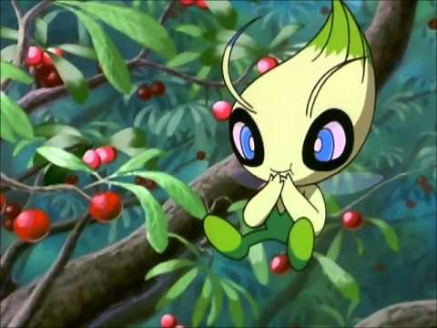 Celebi freaking out