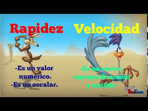 Rapidez y Velocidad