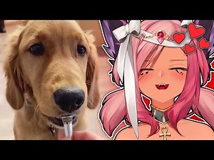 Tricky Reacts to CUTE Memes