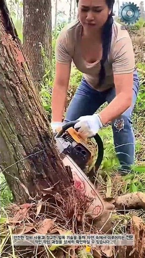 엔진톱을 활용한 정교한 벌목 기술과 안전 작업 #worker #process #chainsaw #safety #woodcutter