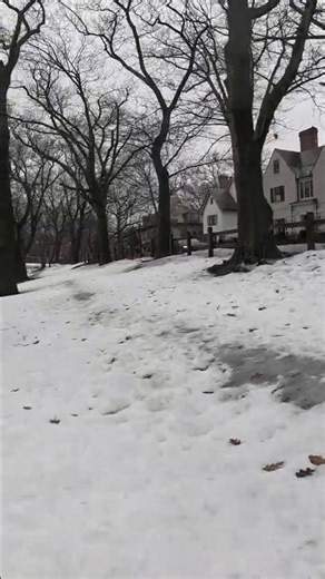 Brookline Slush Snow Ice Run 1
