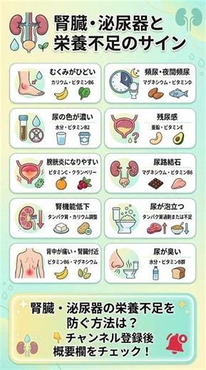 むくみ・頻尿は栄養不足！腎臓と泌尿器の危険サイン10選【腎臓内科医推奨】